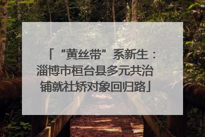 “黄丝带”系新生：淄博市桓台县多元共治铺就社矫对象回归路