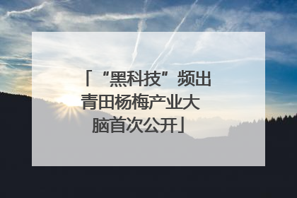 “黑科技”频出 青田杨梅产业大脑首次公开