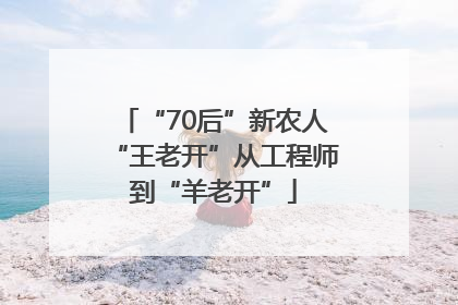 “70后”新农人“王老开”从工程师到“羊老开”