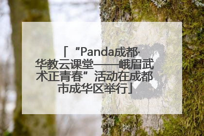 “Panda成都·华教云课堂——峨眉武术正青春”活动在成都市成华区举行