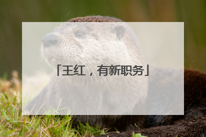 王红，有新职务