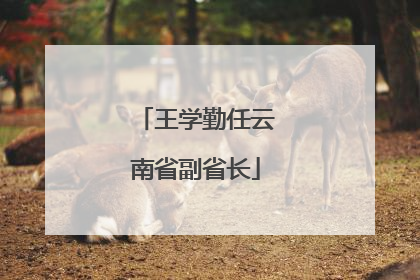 王学勤任云南省副省长