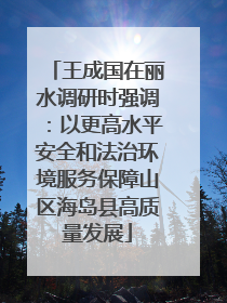 王成国在丽水调研时强调：以更高水平安全和法治环境服务保障山区海岛县高质量发展