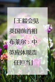 王毅会见英国前首相布莱尔：中英应体现责任担当