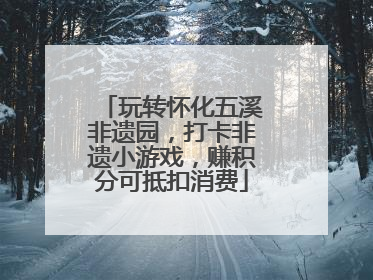 玩转怀化五溪非遗园，打卡非遗小游戏，赚积分可抵扣消费