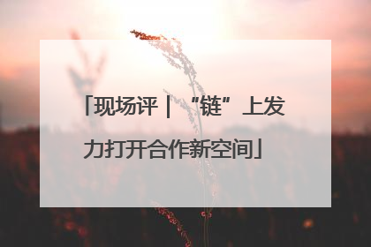 现场评｜“链”上发力打开合作新空间