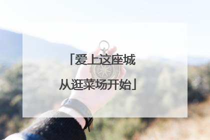 爱上这座城 从逛菜场开始