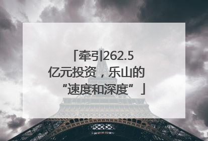 牵引262.5亿元投资，乐山的“速度和深度”