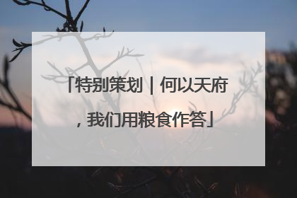特别策划｜何以天府，我们用粮食作答