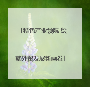 特色产业领航 绘就外贸发展新画卷