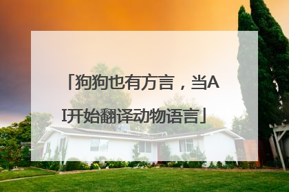 狗狗也有方言，当AI开始翻译动物语言