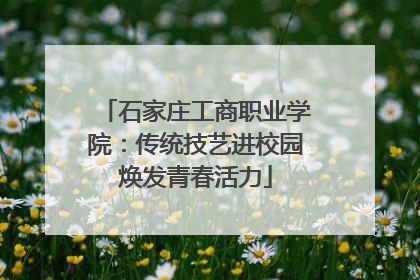 石家庄工商职业学院：传统技艺进校园焕发青春活力