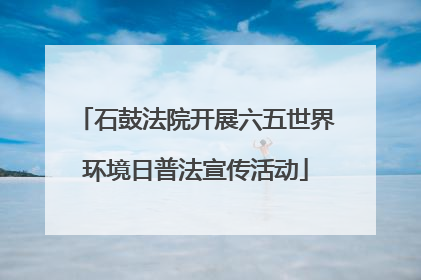 石鼓法院开展六五世界环境日普法宣传活动