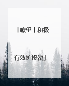 瞭望丨积极有效扩投资