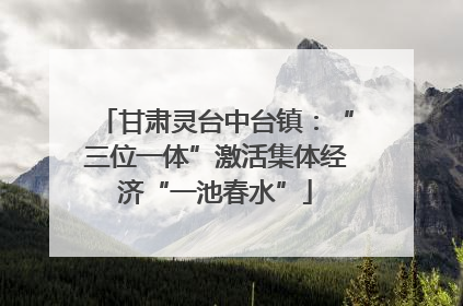 甘肃灵台中台镇：“三位一体”激活集体经济“一池春水”