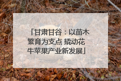 甘肃甘谷：以苗木繁育为支点 撬动花牛苹果产业新发展