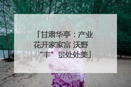 甘肃华亭：产业花开家家富 沃野“丰”景处处美