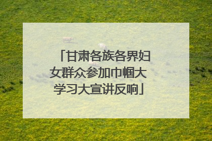 甘肃各族各界妇女群众参加巾帼大学习大宣讲反响
