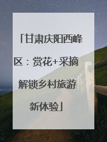 甘肃庆阳西峰区：赏花+采摘 解锁乡村旅游新体验