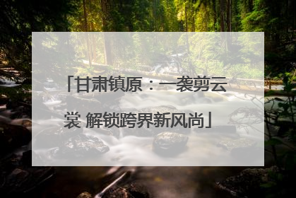 甘肃镇原：一袭剪云裳 解锁跨界新风尚