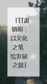 甘肃镇原：以文化之笔 绘发展之景