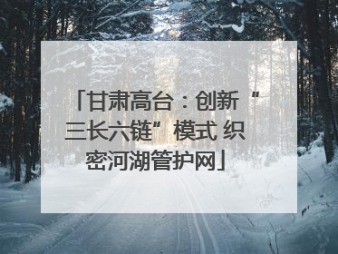 甘肃高台：创新“三长六链”模式 织密河湖管护网