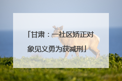 甘肃：一社区矫正对象见义勇为获减刑