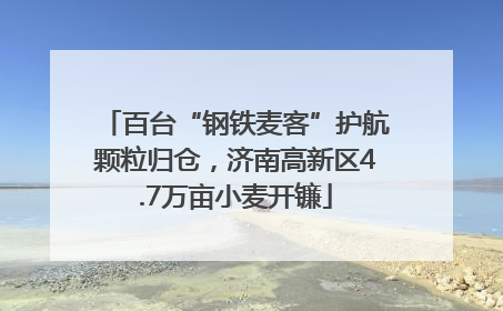 百台“钢铁麦客”护航颗粒归仓，济南高新区4.7万亩小麦开镰