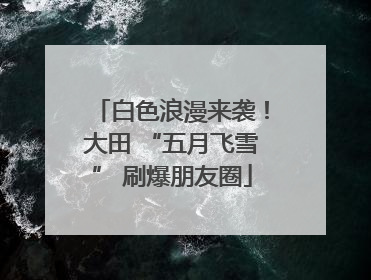 白色浪漫来袭！大田 “五月飞雪” 刷爆朋友圈