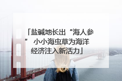 盐碱地长出“海人参” 小小海虫草为海洋经济注入新活力