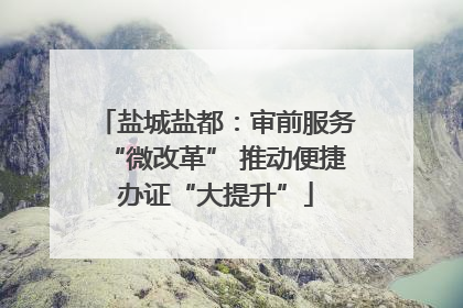 盐城盐都：审前服务“微改革” 推动便捷办证“大提升”