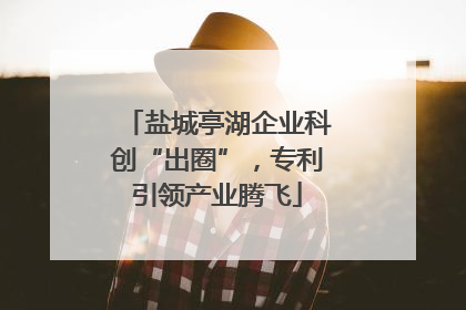 盐城亭湖企业科创“出圈”，专利引领产业腾飞