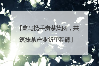 盒马携手贵茶集团，共筑抹茶产业新里程碑