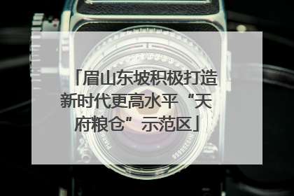 眉山东坡积极打造新时代更高水平“天府粮仓”示范区