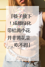 筷子放下！成都绿化带桔黄小花并非黄花菜，吃不得