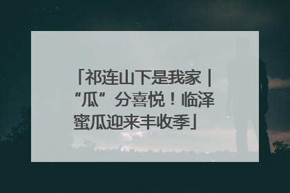 祁连山下是我家｜“瓜”分喜悦！临泽蜜瓜迎来丰收季