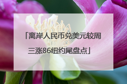 离岸人民币兑美元较周三涨86纽约尾盘点
