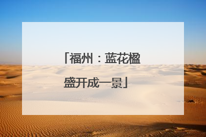 福州：蓝花楹盛开成一景