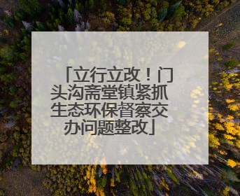 立行立改！门头沟斋堂镇紧抓生态环保督察交办问题整改