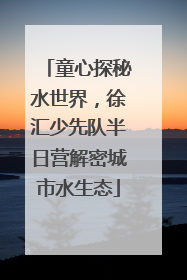 童心探秘水世界，徐汇少先队半日营解密城市水生态