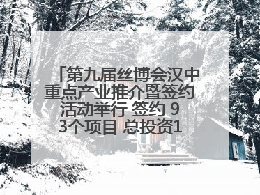 第九届丝博会汉中重点产业推介暨签约活动举行 签约 93个项目 总投资132.23 亿元