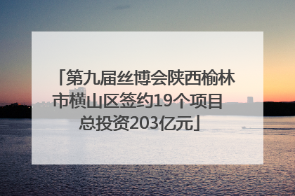 第九届丝博会陕西榆林市横山区签约19个项目 总投资203亿元