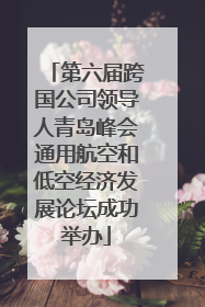 第六届跨国公司领导人青岛峰会通用航空和低空经济发展论坛成功举办
