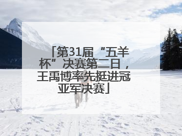 第31届“五羊杯”决赛第二日，王禹博率先挺进冠亚军决赛