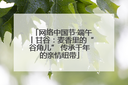 网络中国节·端午丨甘谷：麦香里的“谷角儿” 传承千年的亲情纽带