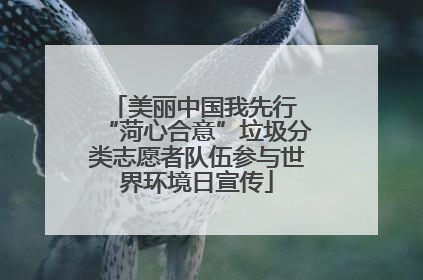 美丽中国我先行 “菏心合意”垃圾分类志愿者队伍参与世界环境日宣传