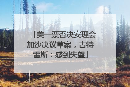 美一票否决安理会加沙决议草案，古特雷斯：感到失望