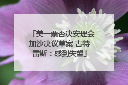 美一票否决安理会加沙决议草案 古特雷斯：感到失望