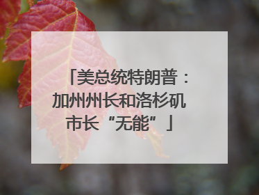 美总统特朗普：加州州长和洛杉矶市长“无能”