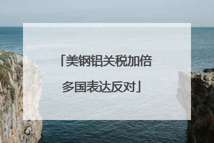 美钢铝关税加倍 多国表达反对